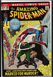 The Amazing Spider-Man #108 (1972) Spider-Man