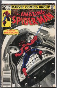 The Amazing Spider-Man #230 (1982) Spider-Man