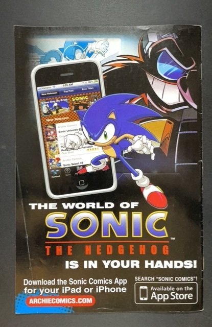 Sonic the Hedgehog #234 (2012)