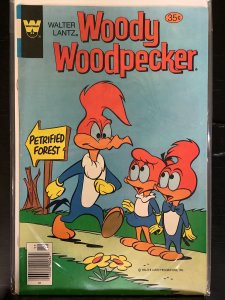 Walter Lantz Woody Woodpecker #172