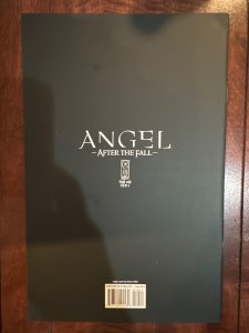 Angel #10 Virgin Cover