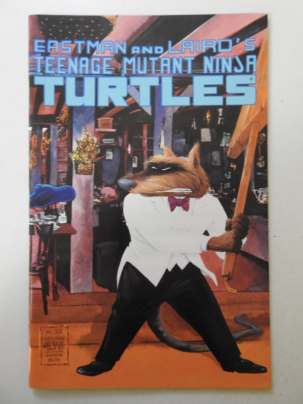 Teenage Mutant Ninja Turtles #23 (1989) VF Condition!