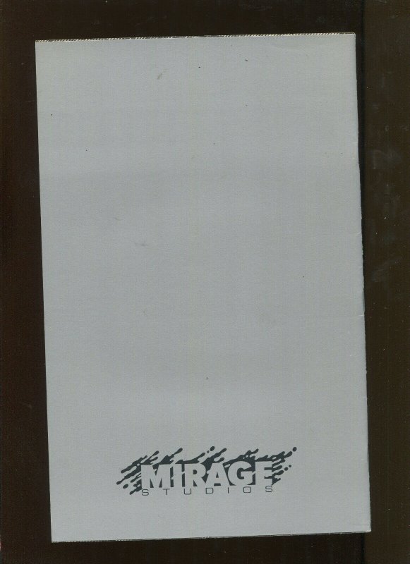 TEENAGE MUTANT NINJA TURTLES # 19 (7.0)  