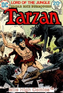 TARZAN (1972 Series)  (DC) #226 Very Good Comics Book