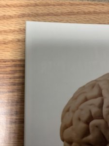 SPIDER-MAN #31 MARVEL COMICS 1993 