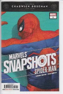 SPIDER-MAN MARVELS SNAPSHOT (2020 MARVEL) #1 CVR A ALEX ROSS