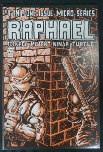 Raphael Teenage Mutant Ninja Turtles #1 Eastman 1st Casey Jones 1985 Mirage FN