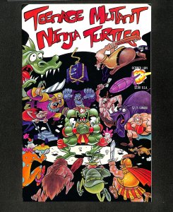 Teenage Mutant Ninja Turtles #40