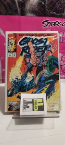 Ghost Rider #29 (1992)