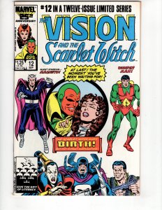 The Vision and the Scarlet Witch #12 Newsstand Edition (1986) ID#134