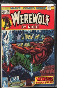 Werewolf by Night #20 (1974) Werewolf by Night
