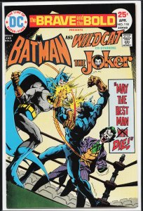 The Brave and the Bold #118 (1975) Wildcat