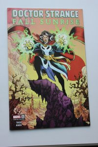 Doctor Strange Fall Sunrise 1 Variant NM