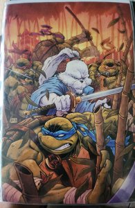 Teenage Mutant Ninja Turtles/Usagi Yojimbo: WhereWhen #1 Cover S (2023)