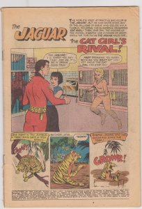 Adventures of the Jaguar #6