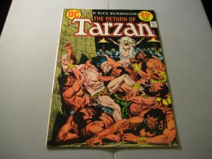 Tarzan #222 (1973, DC comics) 