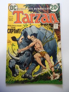 Edgar Rice Burroughs' Tarzan #212 (1972) FN- Condition