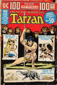 DC 100-Page Super Spectacular #19 (1973)