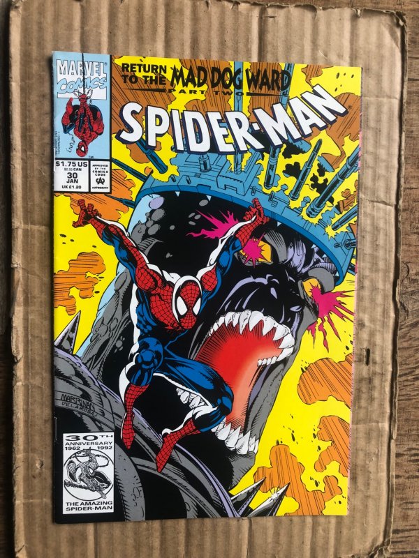 Spider-Man #30 (1993)
