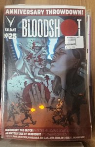 Bloodshot #25 (2014)
