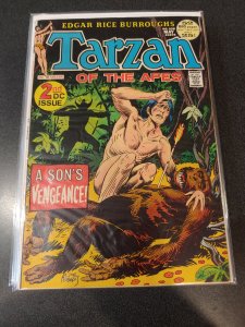 Tarzan #208 (1972)