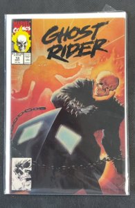 Ghost Rider #13 (1991)