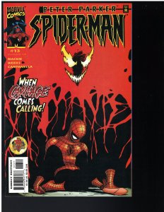 Peter Parker Spider-Man #13 (Marvel, 2000)