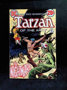 Tarzan #214  DC Comics 1972 FN/VF