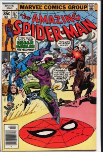 The Amazing Spider-Man #177 (1978) Spider-Man