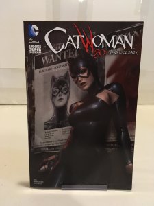 Catwoman 80th Anniversary 100 Page Super Spectacular Jeehyung Lee 2010s Variant!