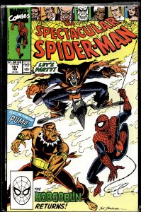 The Spectacular Spider-Man #161 (1990) Spider-Man