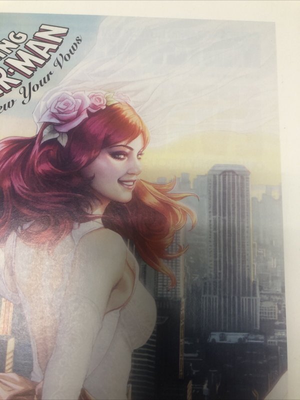 AMAZING SPIDER-MAN (2017) Variant # 1 Stan Lee • Steve Ditko • Marvel Comics