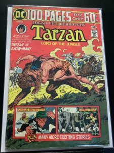Tarzan #231 (1974)