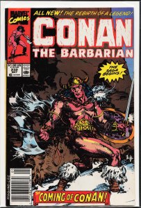 Conan the Barbarian #232 (1990) Conan