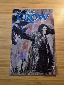 Crow #8 (1999)