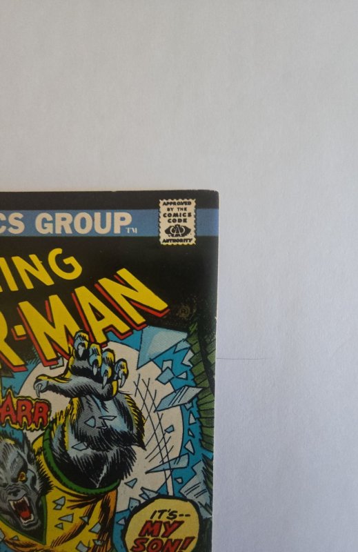 The Amazing Spider-Man #124 (1973)