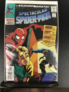 The Spectacular Spider-Man #-1 (1997)