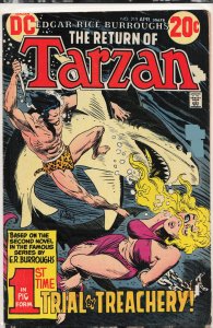 Edgar Rice Burroughs' Tarzan #219 (1973)