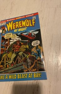 Werewolf by Night #2 (1972)Like a wild beast at bay - VF