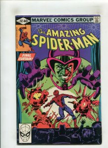 AMAZING SPIDER-MAN #207 (8.0) FINAL CURTAIN!! 1980 