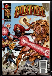 Foxfire #2 (1996) Foxfire
