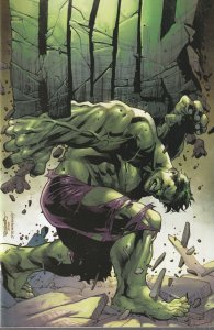 Hulk # 2 Segovia Unknown Comics Exclusive Cover NM Marvel Donny Cates 2022 [T7]