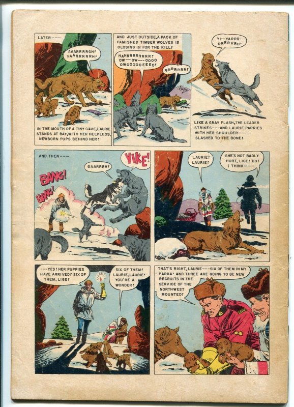 Sergeant Preston #8  1953 - Dell  -G/VG - Comic Book