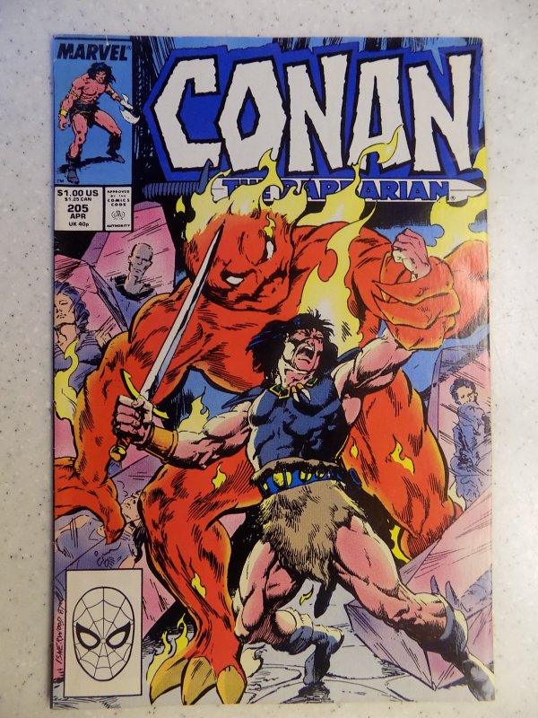 CONAN THE BARBARIAN # 205