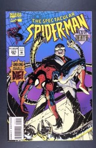 The Spectacular Spider-Man #221 (1995)