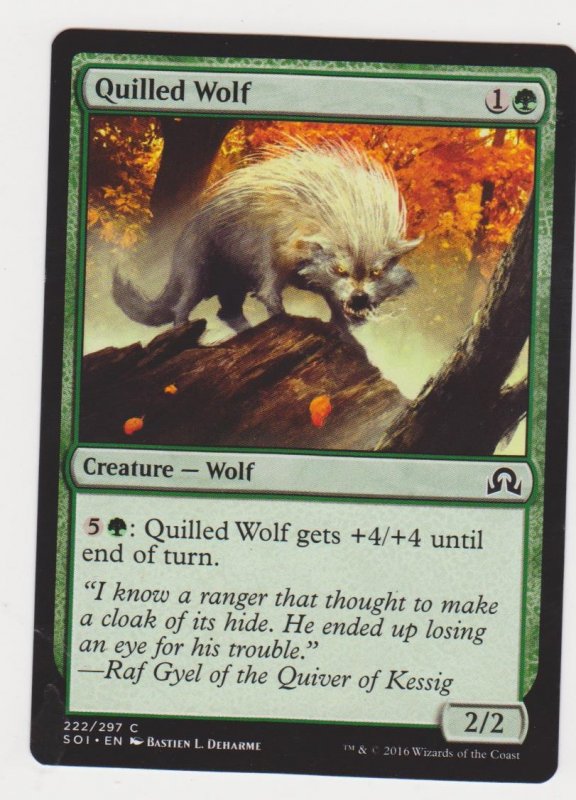 Magic the Gathering: Shadows Over Innistrad - Quilled Wolf