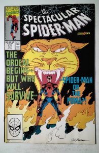The Spectacular Spider-Man #171 (1990) Marvel Comic Book J757