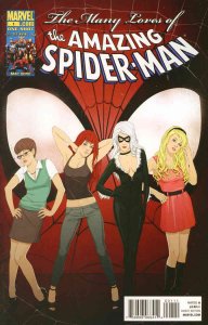 Many Loves of the Amazing Spider-Man, The #1 VF ; Marvel | Black Cat