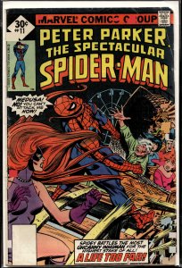 The Spectacular Spider-Man #11 (1977) Spider-Man