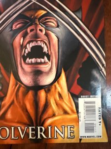 X-Men Origins: Wolverine (2009)